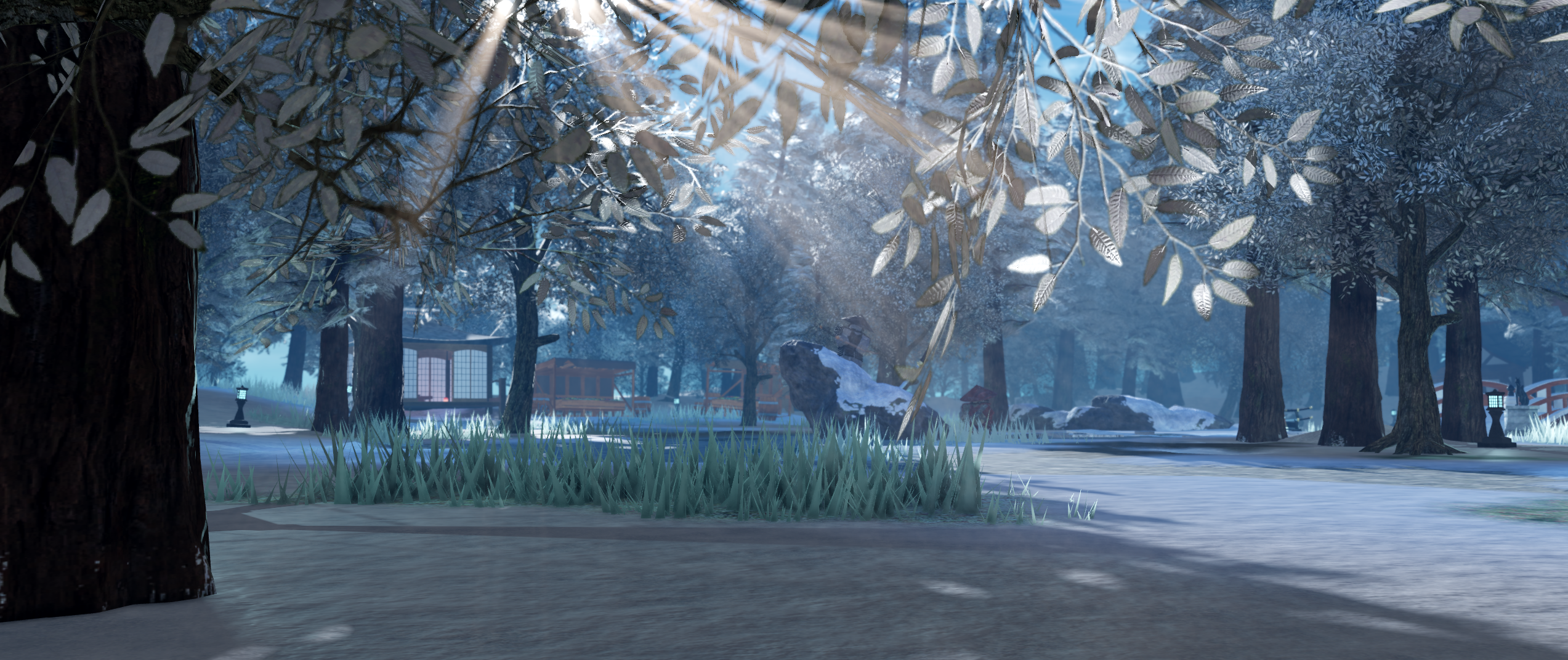 Snowy forest environment